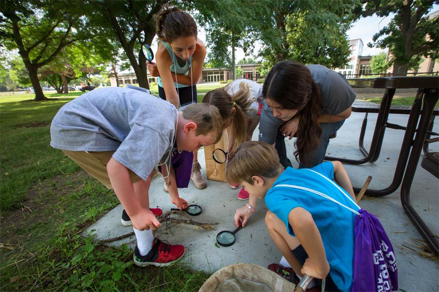 Children gather around ants on a sidewalk and look at them through a magnifying glass.